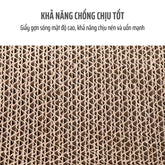 Ưu điểm của dụng cụ mài móng cho mèo